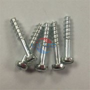 非標草莓影视大全污的應用領域有哪些呢？